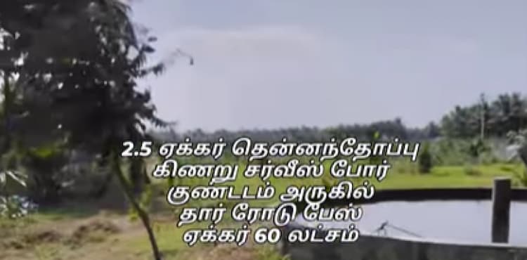 Single Property Image