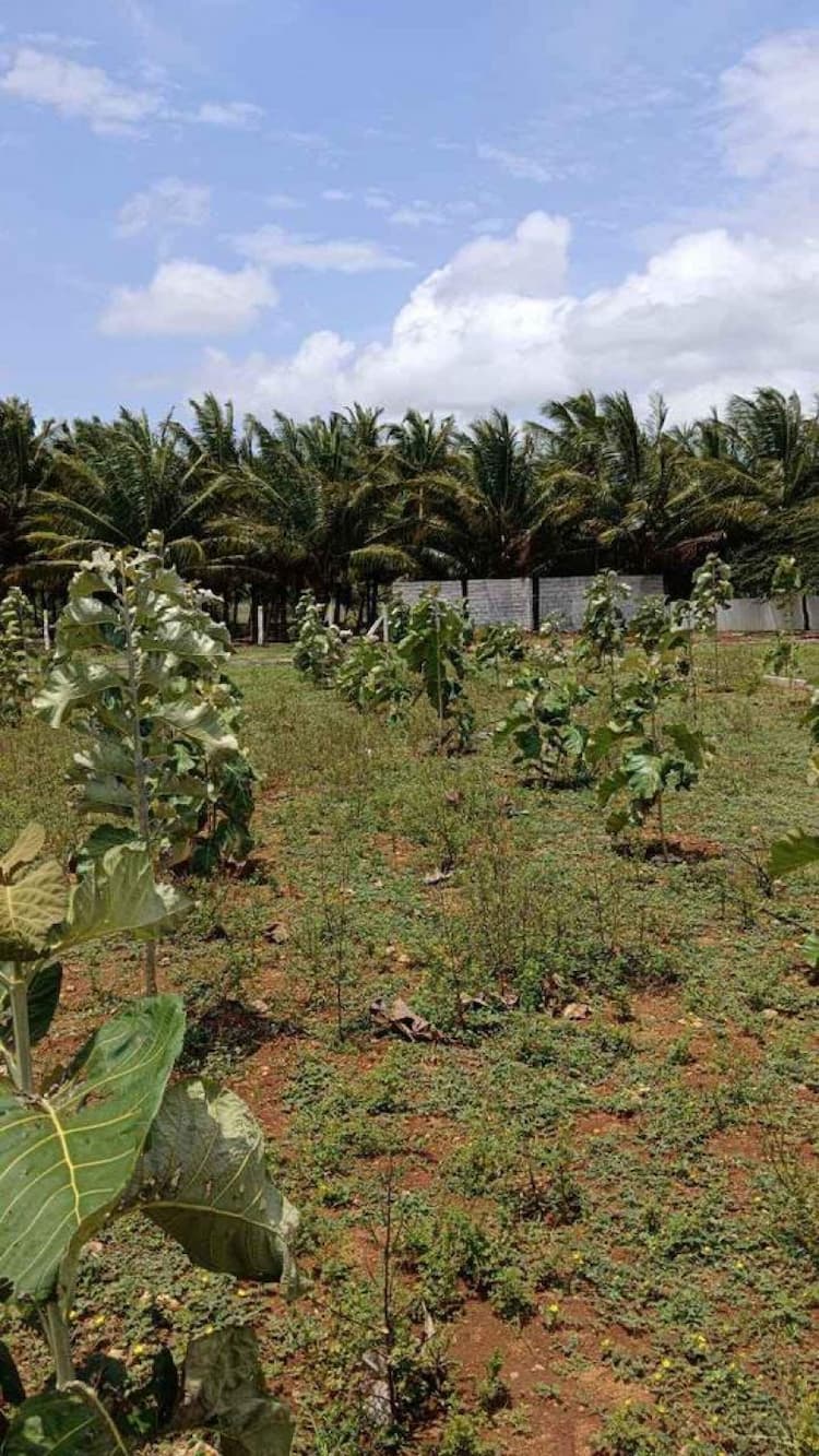 Single Property Image