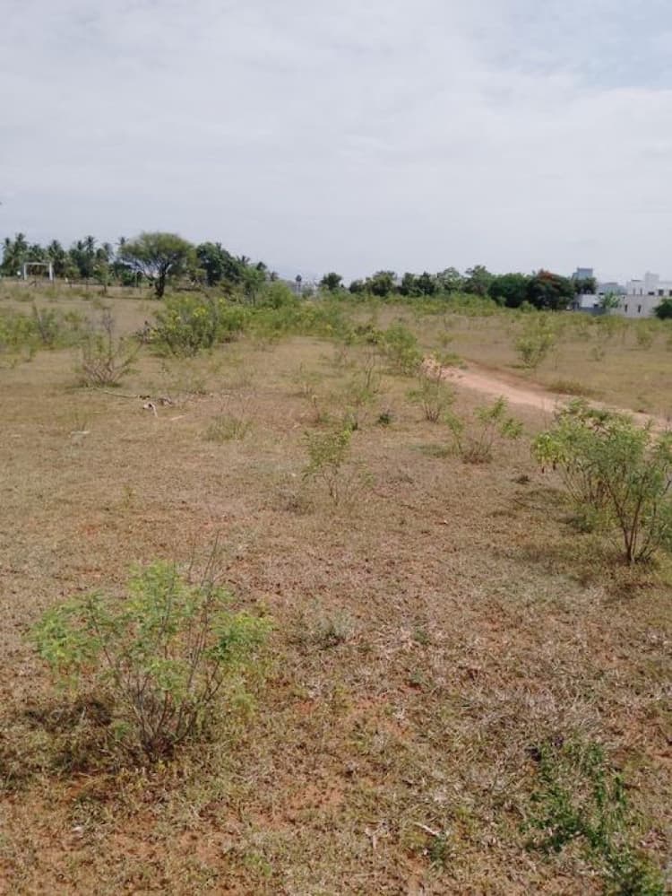 3 Acre for sale