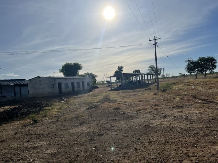 Land sale