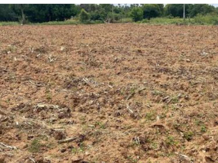 Land for sales