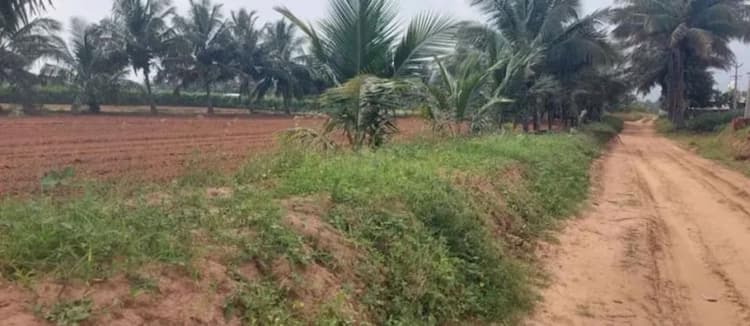 Farm land for sale