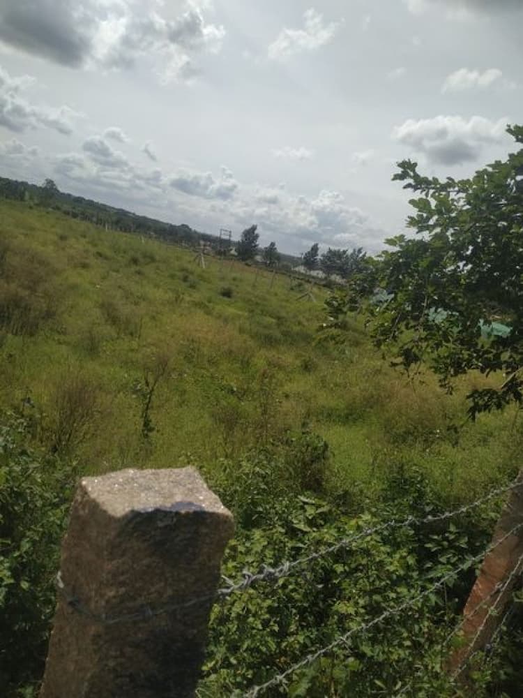 Land sale