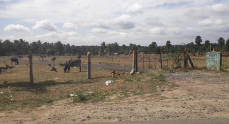 Single Property Image