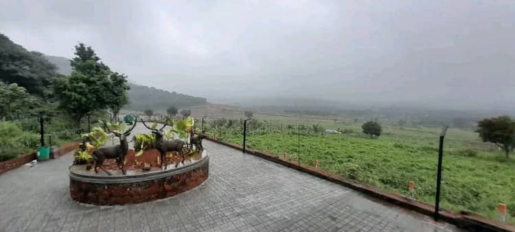 FARM LAND DIRECT SALE COIMBATORE