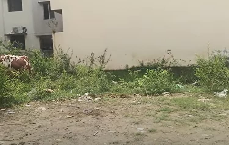 Single Property Image