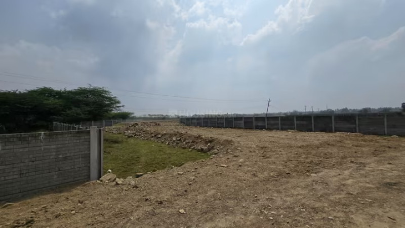 Residential Plot
