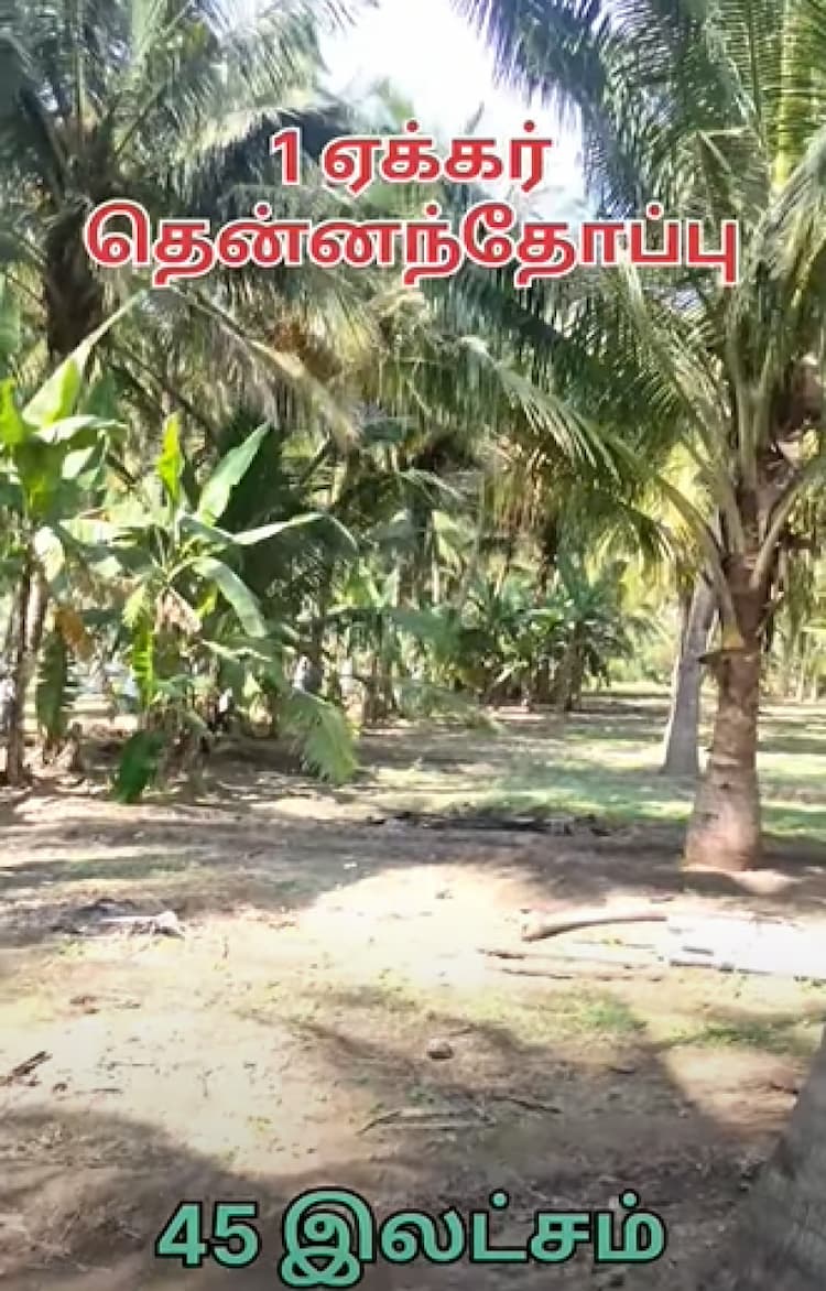 Land for Sale