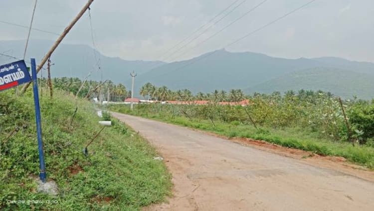 Single Property Image