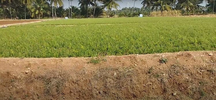 17 Acre Land for Sale