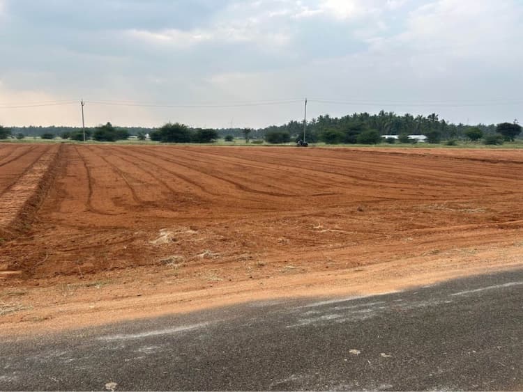 50 Cent Farm Land