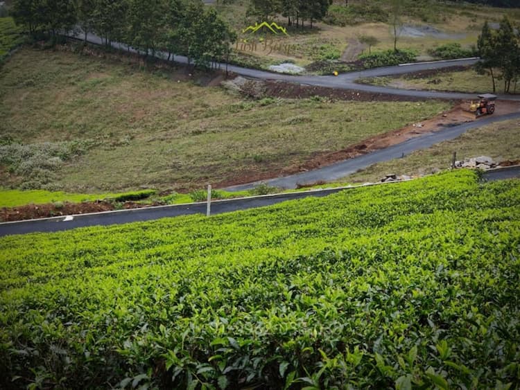 OOTY TO COONOR FARM LAND DIRECT SALE