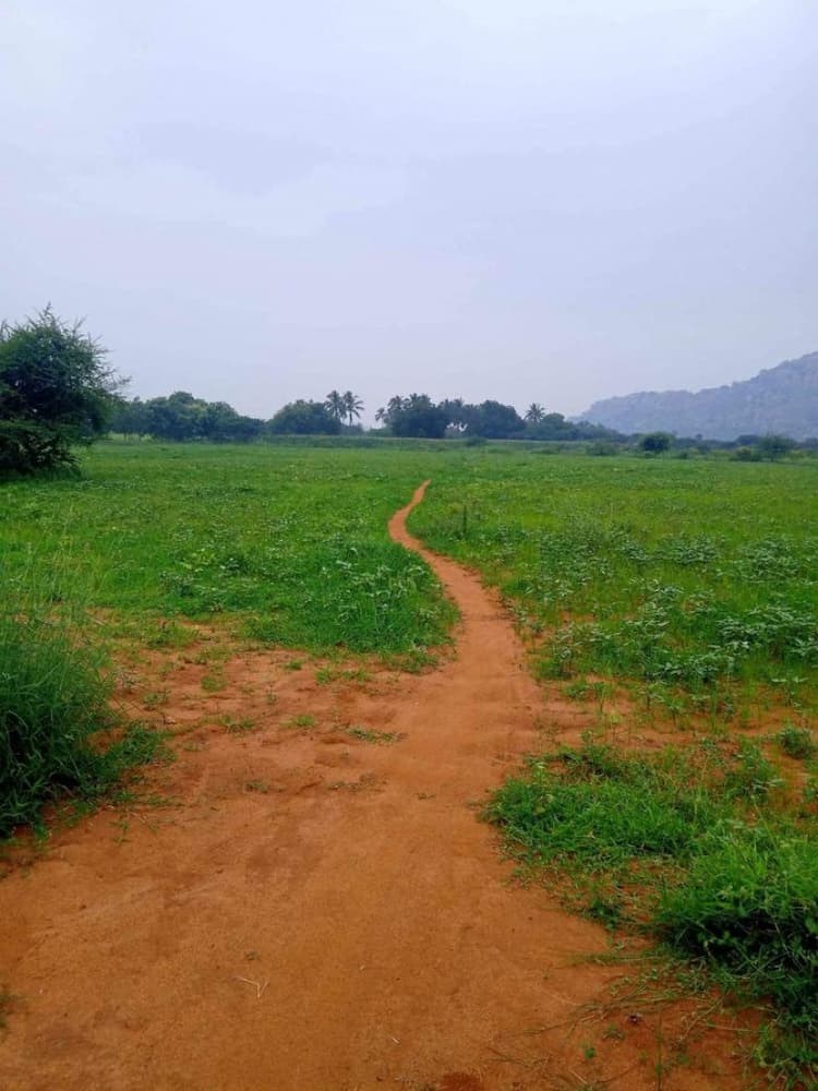 Single Property Image
