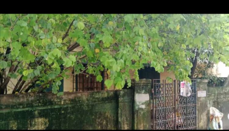 1bhk house for sale 