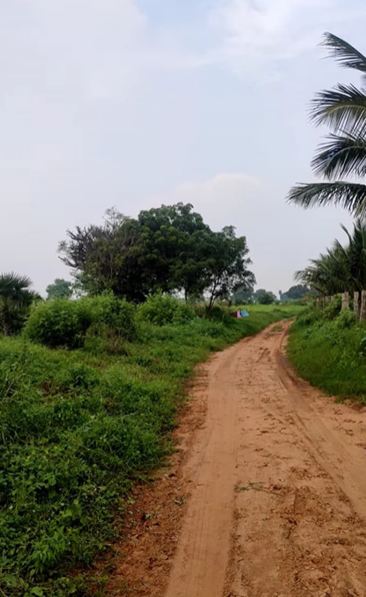 Single Property Image