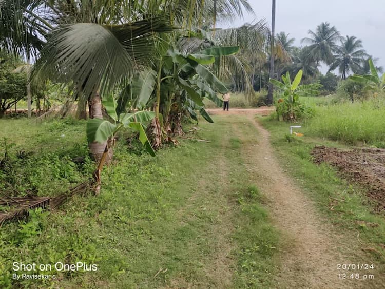Farm For Sale