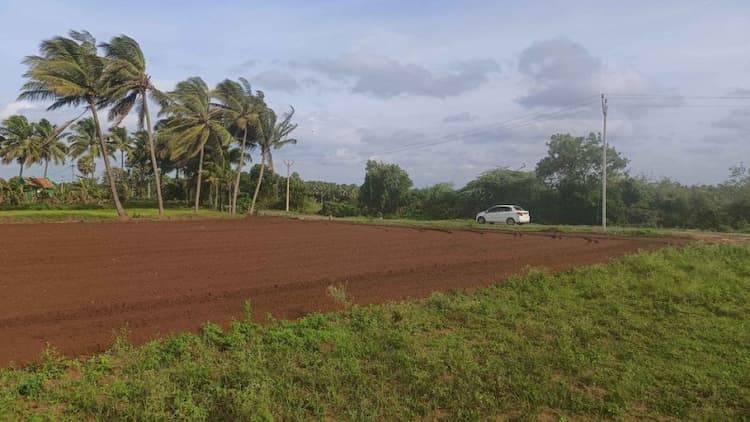 agri land for sale
