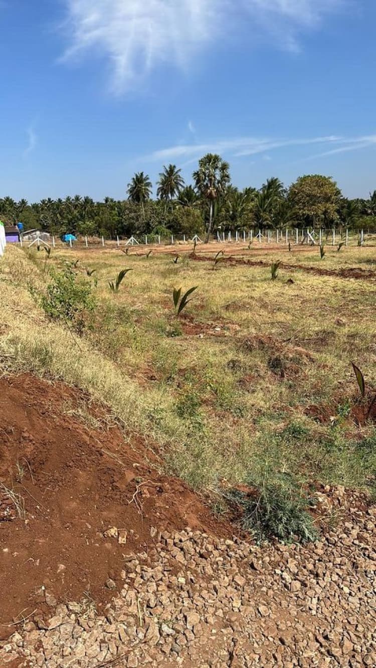 85 cents land for sale