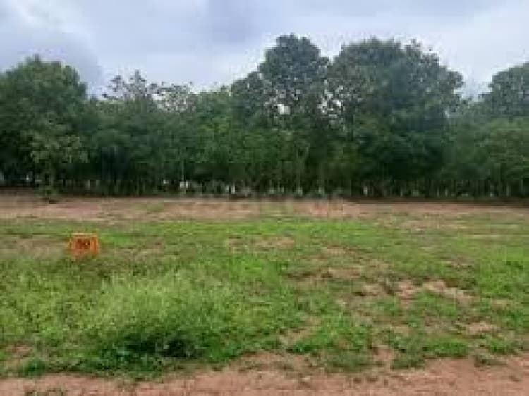 Plot sale