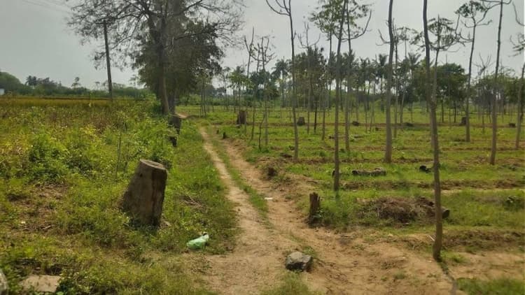 property for sale ayyarmalai