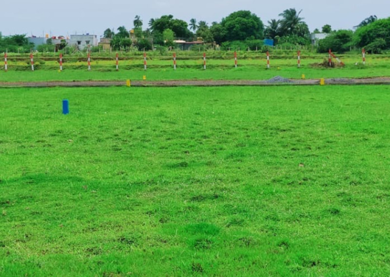 Land for sales