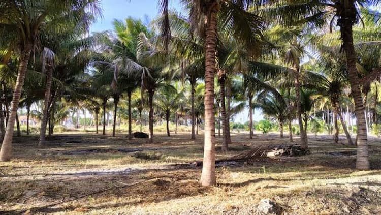 Single Property Image