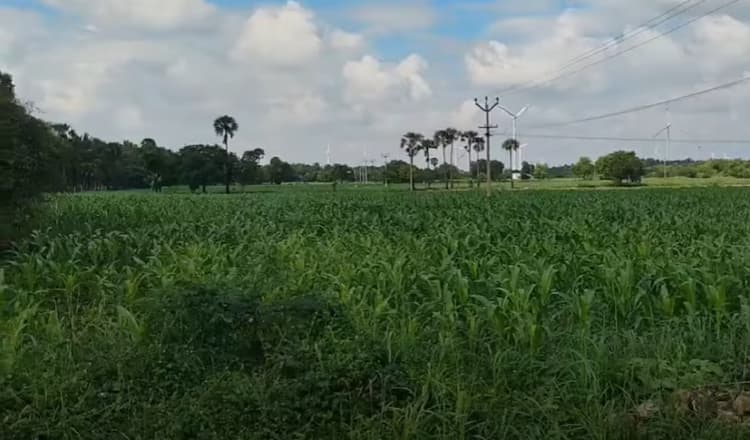 Land for Sale