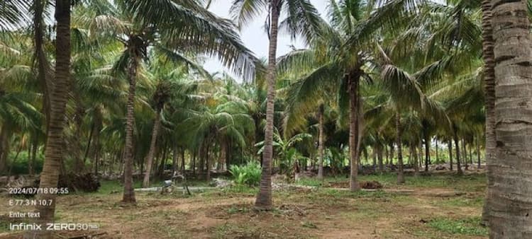 Land for Sale