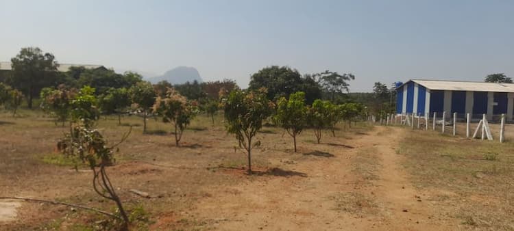 Single Property Image