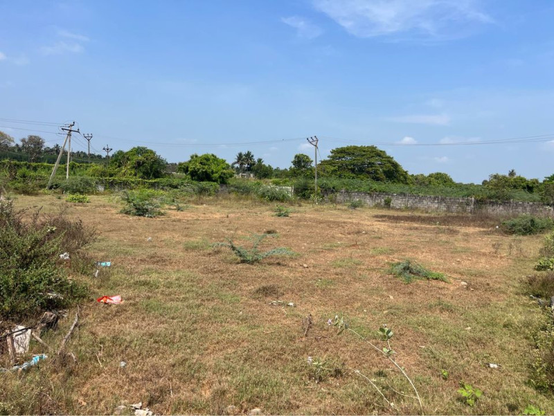 Land for sales