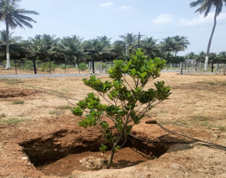 Single Property Image