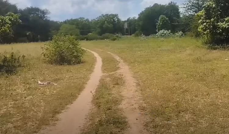 Single Property Image