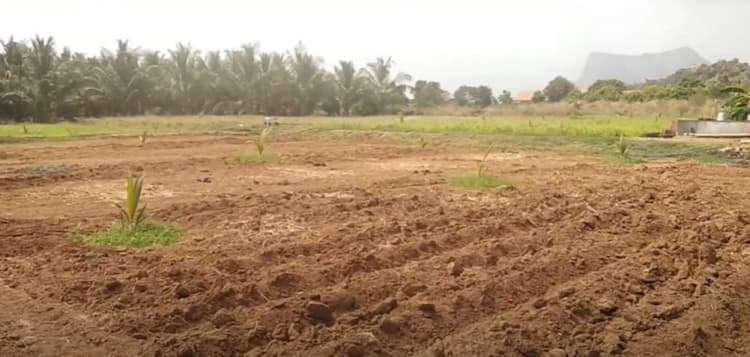 Land for Sale