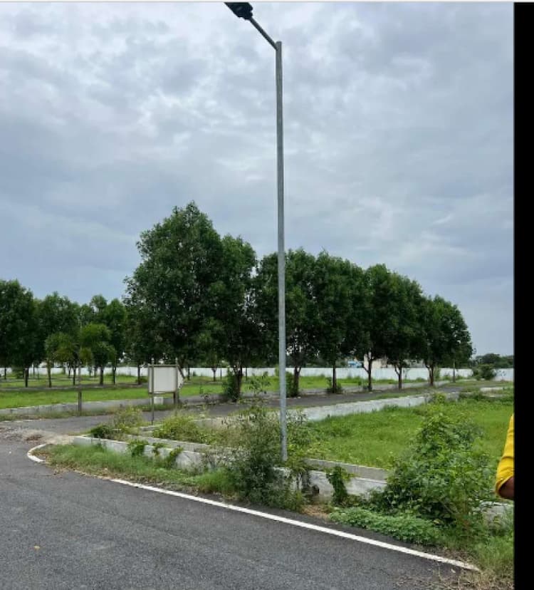 plot for sale 