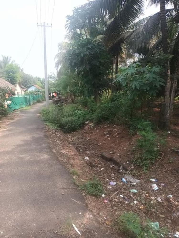 3Acre coconut form for sale