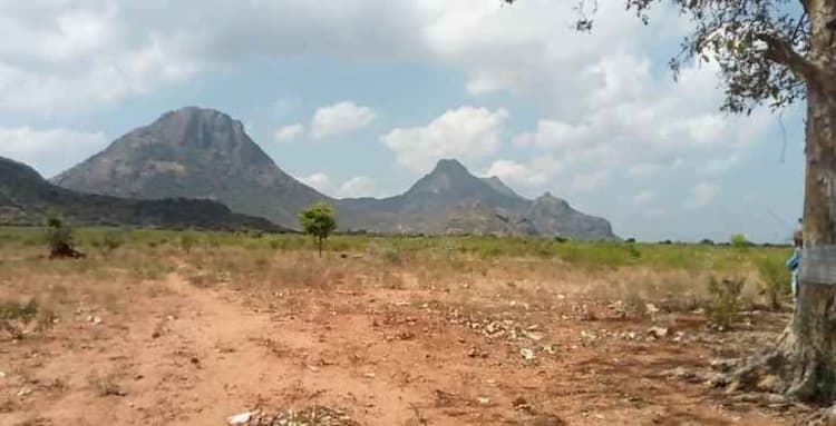 Single Property Image