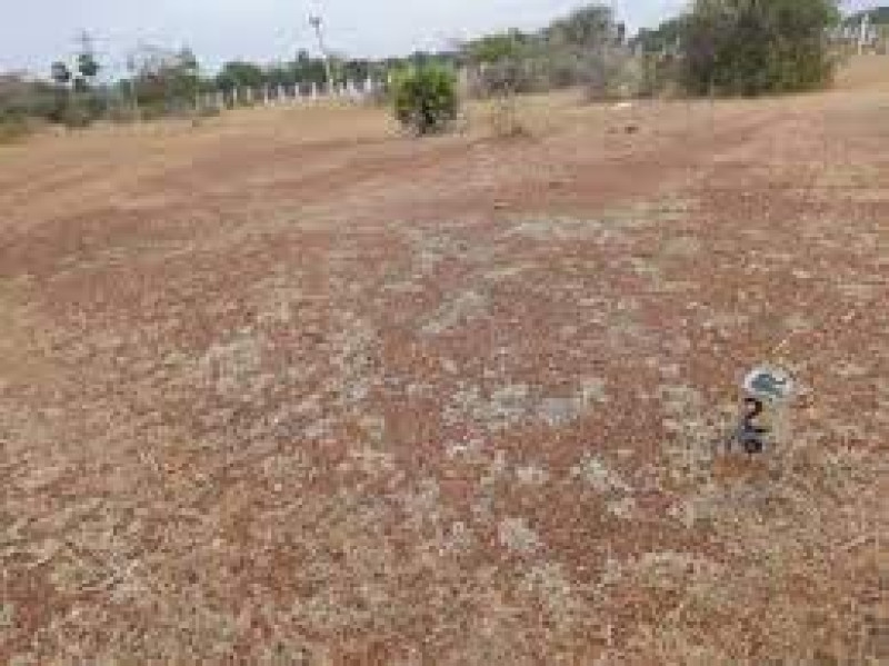 Plot sale