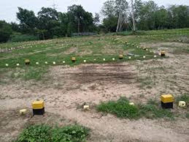land sale