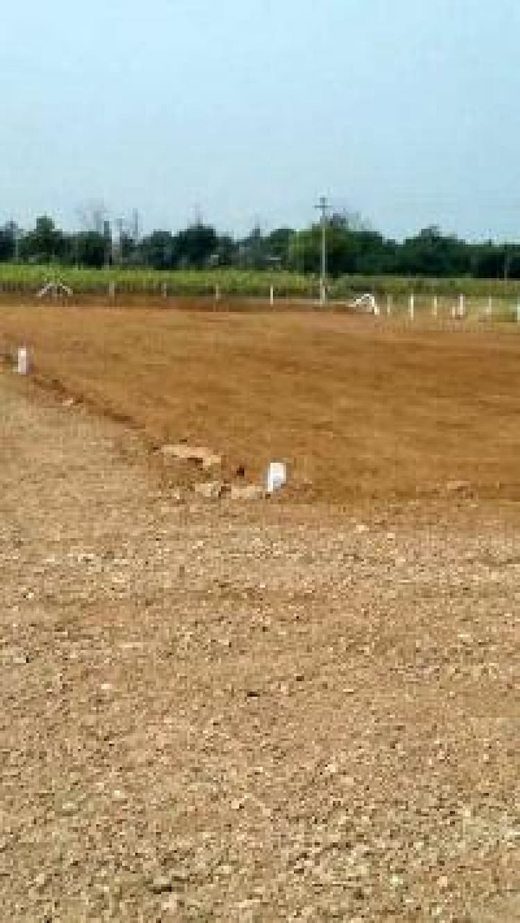 land sale