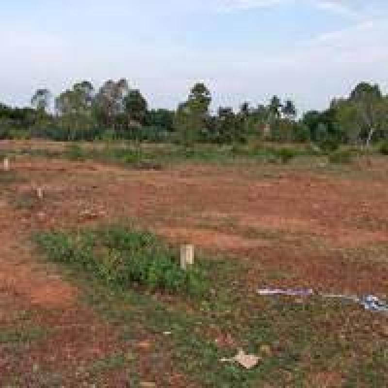 pLot sale