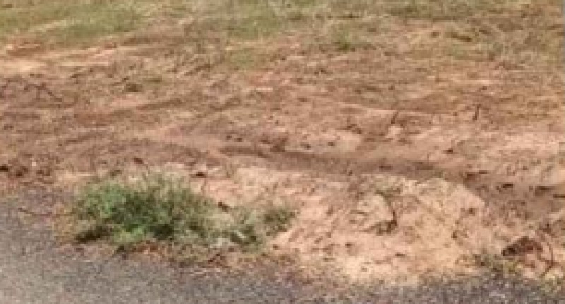 Land for sales