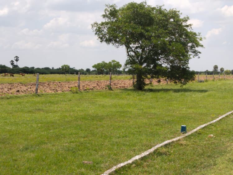 Single Property Image