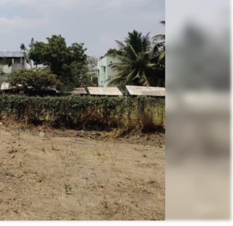 plot for sale 
