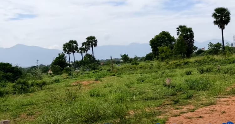 Land for sales