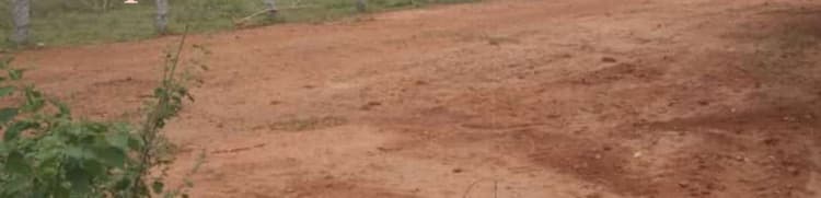 Plot sale