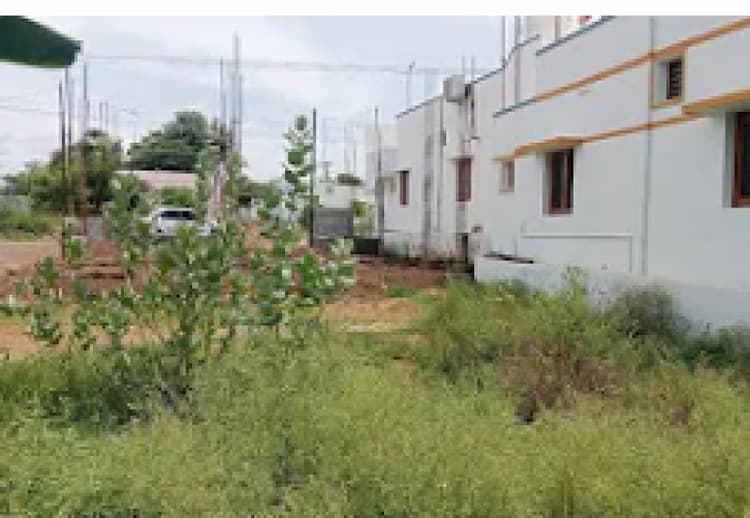 Land for sales