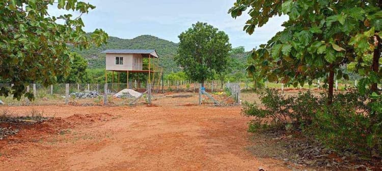 Teakwood House Plot for Sale