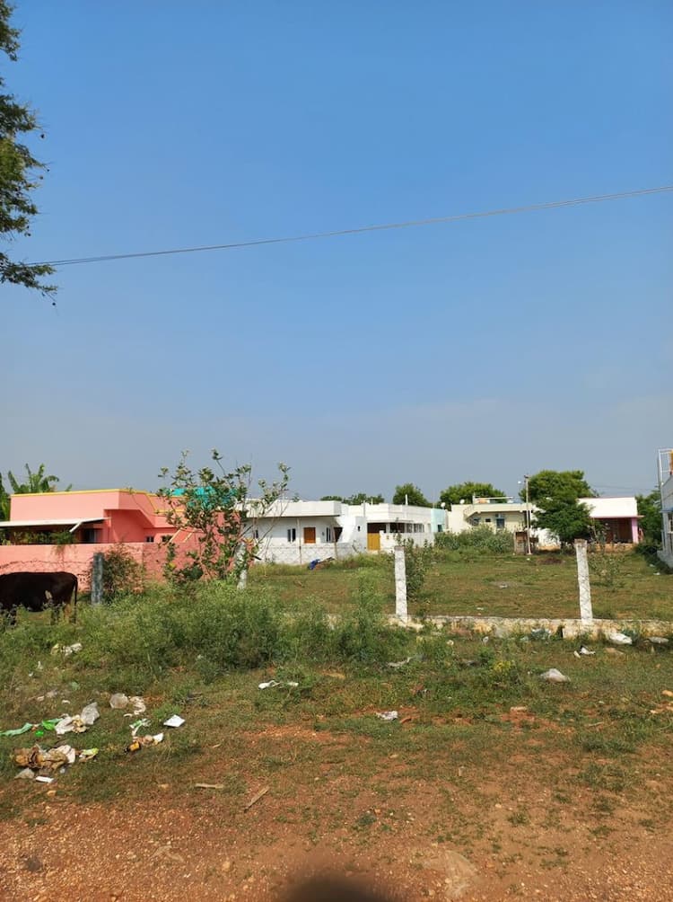 9.25 cent Plot for sales