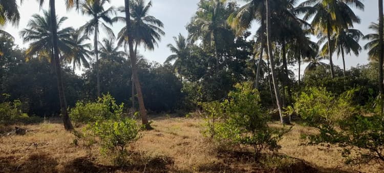 3 Acres Land for Sale