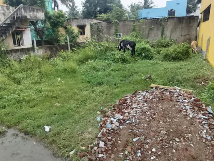 Single Property Image